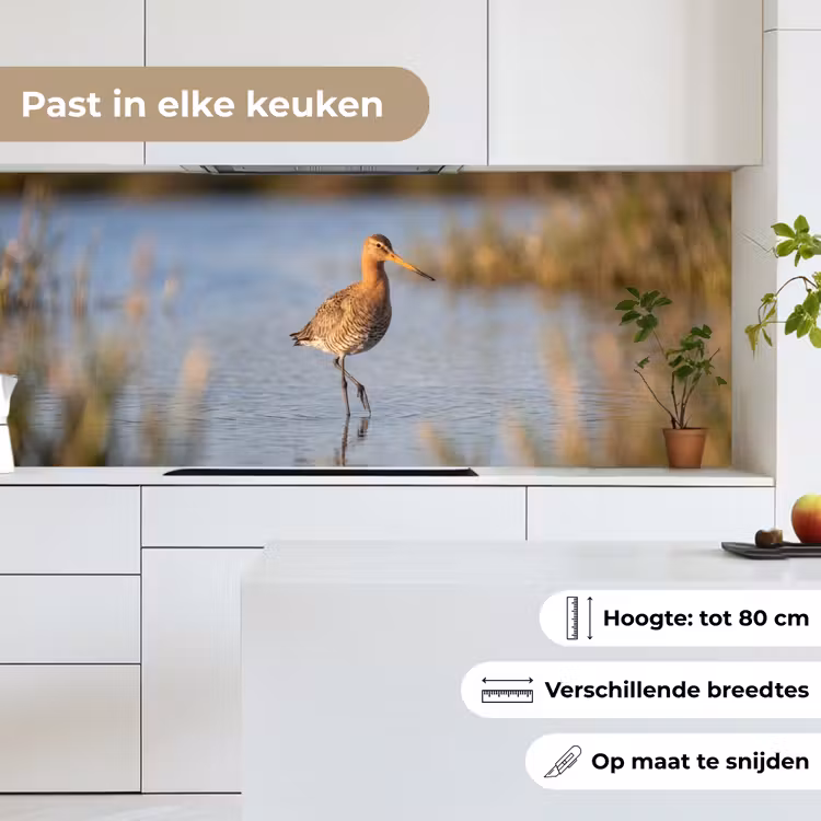 Keuken achterwand - Vogel - Steltloper - Water - Natuur — 7
