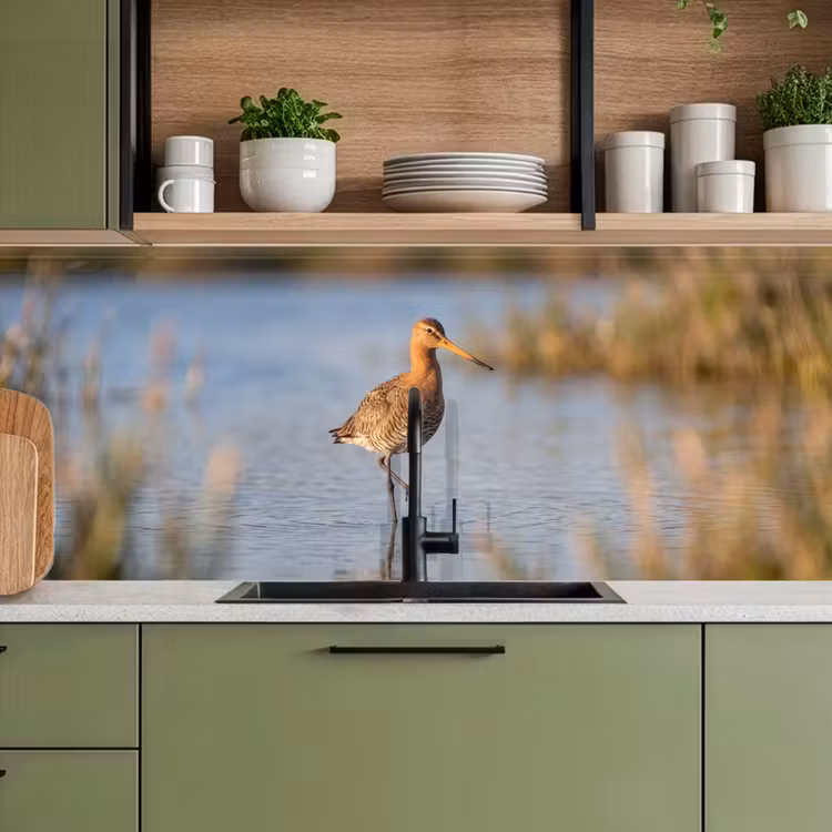 Keuken achterwand - Vogel - Steltloper - Water - Natuur — 8