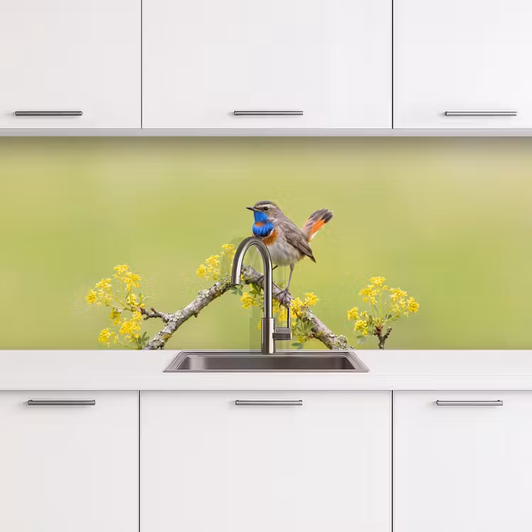 Keuken achterwand - Vogel - Tak - Natuur - Kleurrijk — 4