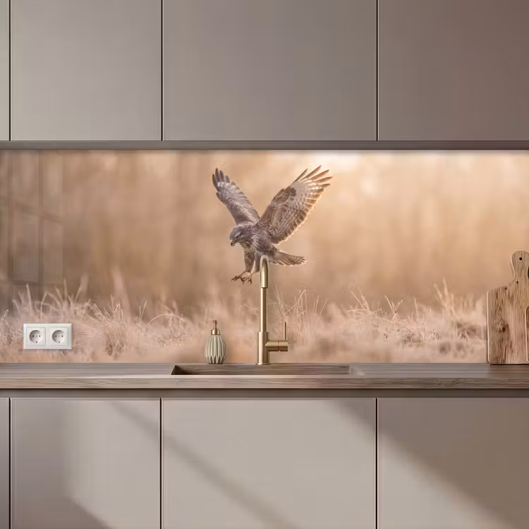 Keuken achterwand - Buizerd - Roofvogel - Natuur - Bruin — 1