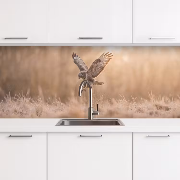 Keuken achterwand - Buizerd - Roofvogel - Natuur - Bruin — 4