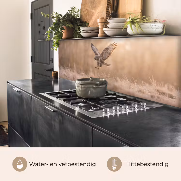 Keuken achterwand - Buizerd - Roofvogel - Natuur - Bruin — 5