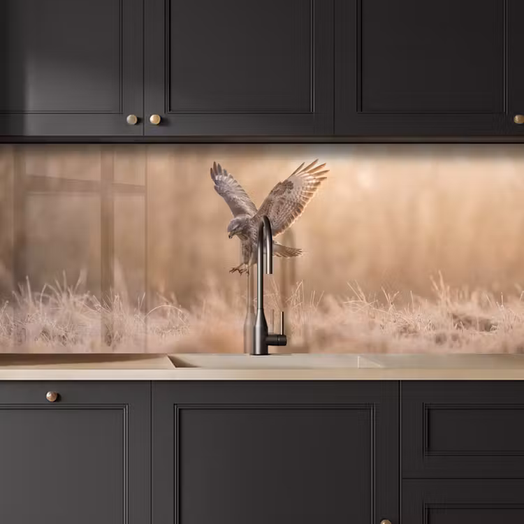 Keuken achterwand - Buizerd - Roofvogel - Natuur - Bruin — 6