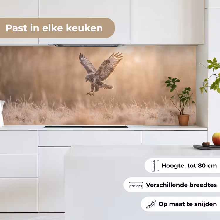 Keuken achterwand - Buizerd - Roofvogel - Natuur - Bruin — 7