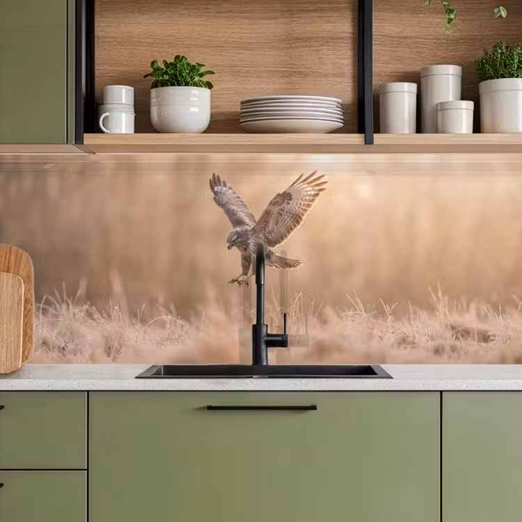 Keuken achterwand - Buizerd - Roofvogel - Natuur - Bruin — 8