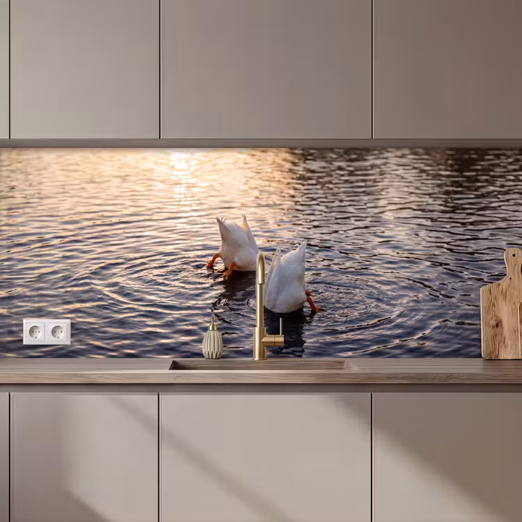 Keuken achterwand - Eenden - Water - Natuur — 1