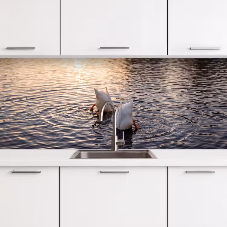Keuken achterwand - Eenden - Water - Natuur — 4