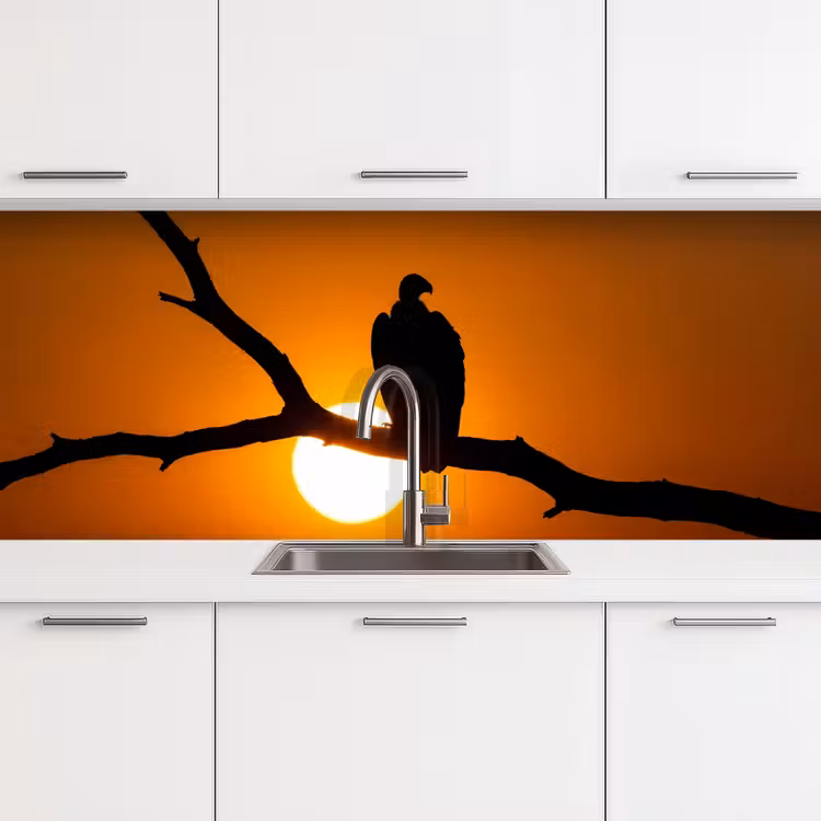 Keuken achterwand - Gier - Tak - Zon - Oranje — 4
