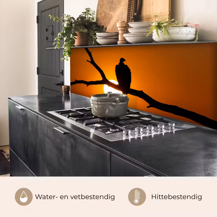 Keuken achterwand - Gier - Tak - Zon - Oranje — 5
