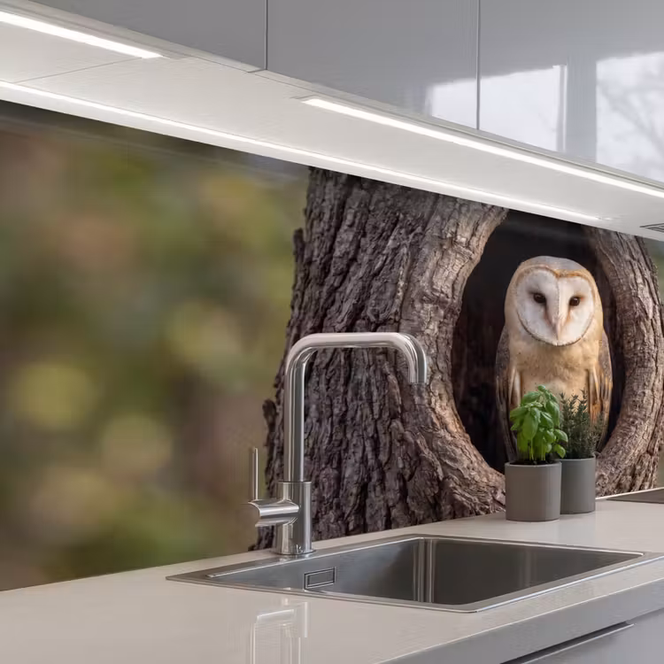 Keuken achterwand - Kerkuil - Boom - Natuur - Bruin — 2