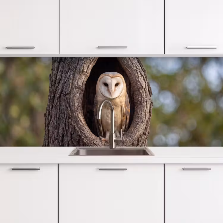 Keuken achterwand - Kerkuil - Boom - Natuur - Bruin — 4