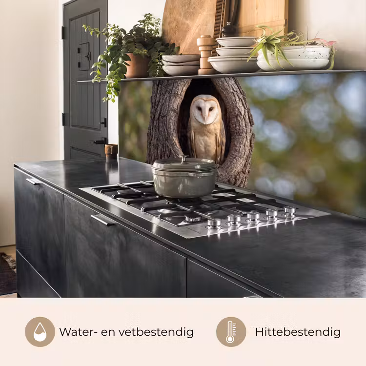 Keuken achterwand - Kerkuil - Boom - Natuur - Bruin — 5