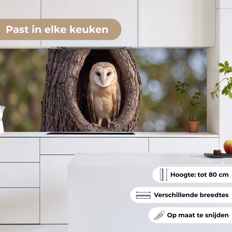 Keuken achterwand - Kerkuil - Boom - Natuur - Bruin — 7