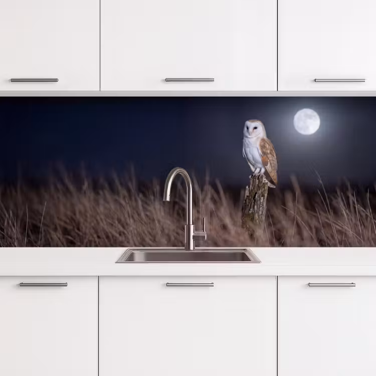 Keuken achterwand - Kerkuil - Maan - Nacht — 4