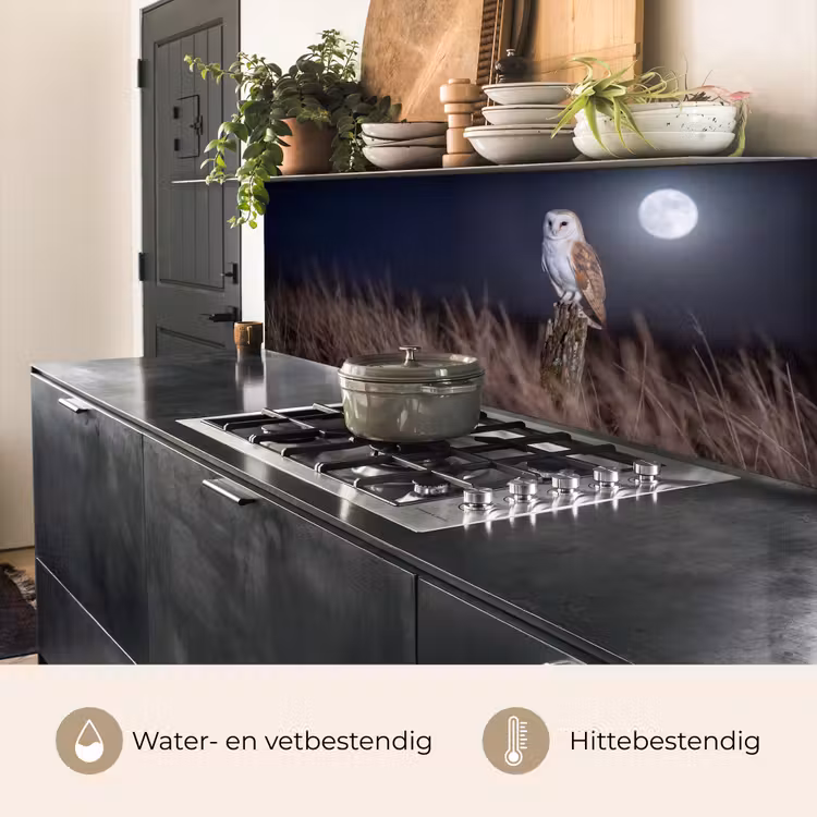 Keuken achterwand - Kerkuil - Maan - Nacht — 5