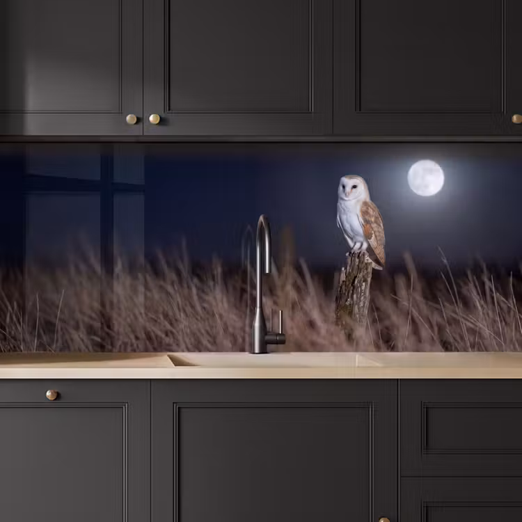 Keuken achterwand - Kerkuil - Maan - Nacht — 6