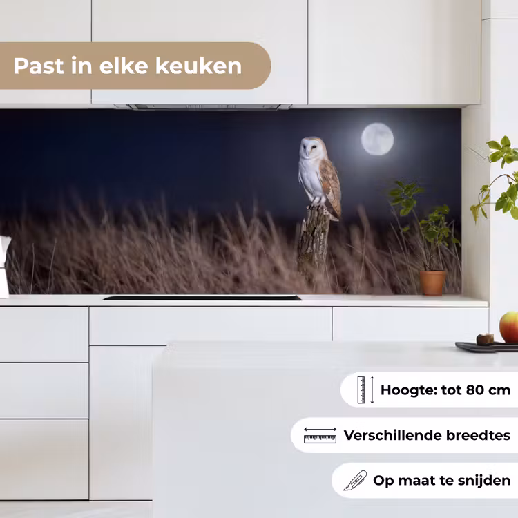 Keuken achterwand - Kerkuil - Maan - Nacht — 7