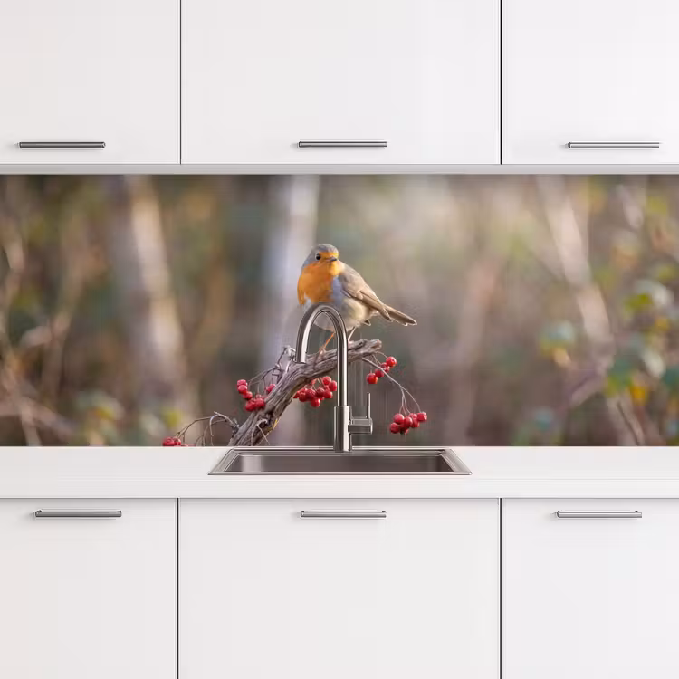 Keuken achterwand - Roodborst - Tak - Bessen - Natuur — 4