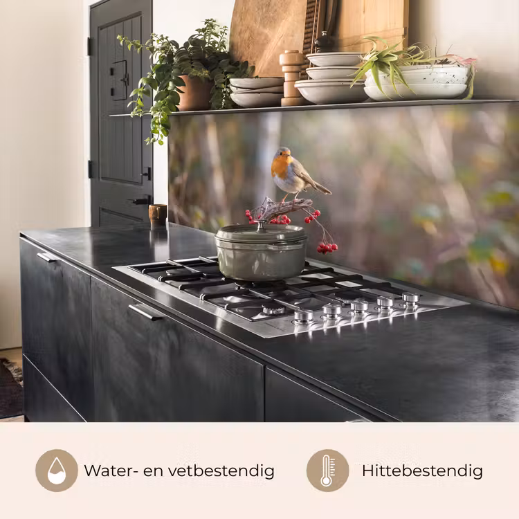 Keuken achterwand - Roodborst - Tak - Bessen - Natuur — 5