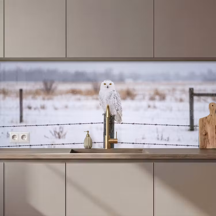 Keuken achterwand - Sneeuwuil - Hek - Sneeuw - Wit — 1