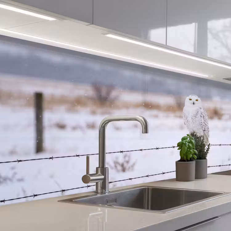 Keuken achterwand - Sneeuwuil - Hek - Sneeuw - Wit — 2