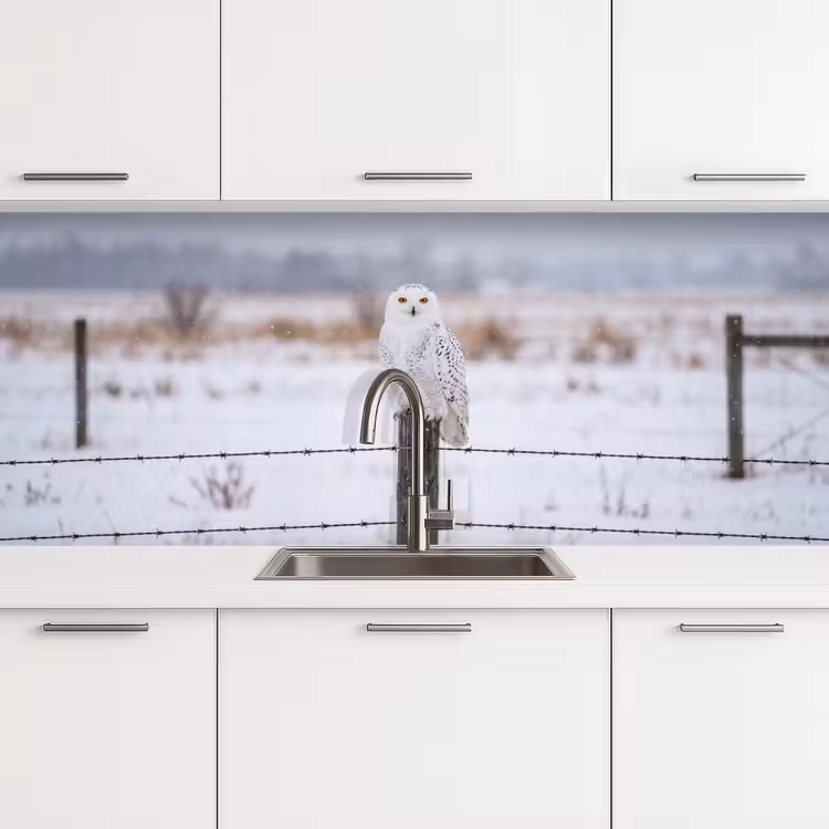 Keuken achterwand - Sneeuwuil - Hek - Sneeuw - Wit — 4