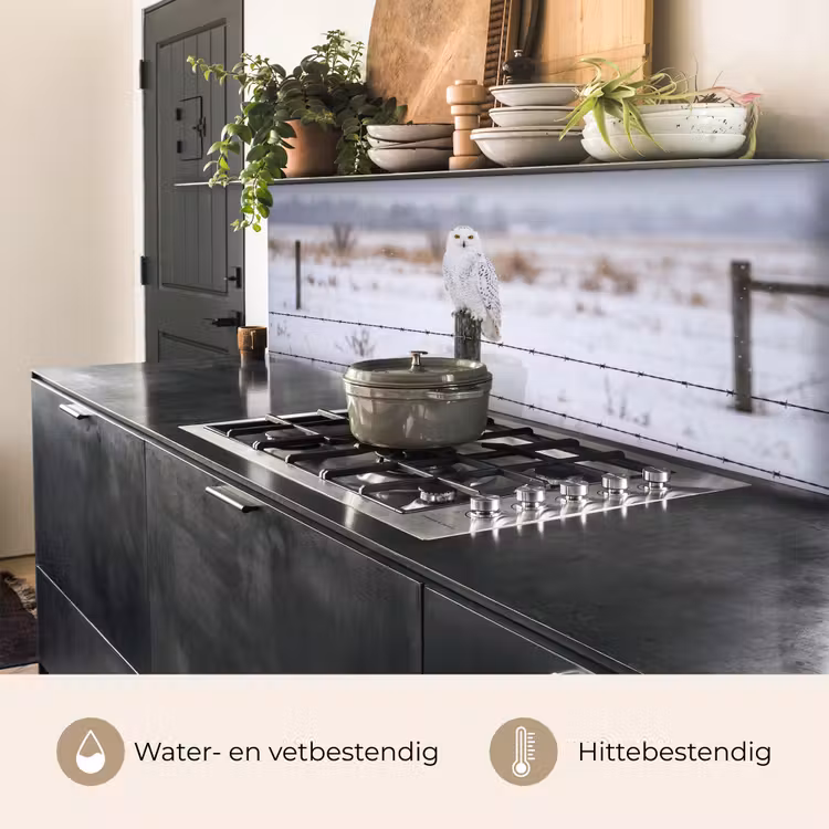 Keuken achterwand - Sneeuwuil - Hek - Sneeuw - Wit — 5