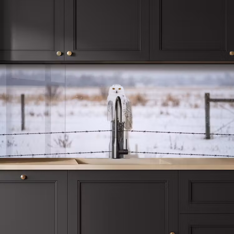 Keuken achterwand - Sneeuwuil - Hek - Sneeuw - Wit — 6
