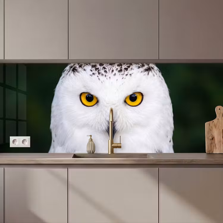 Keuken achterwand - Sneeuwuil - Portret - Geel — 1