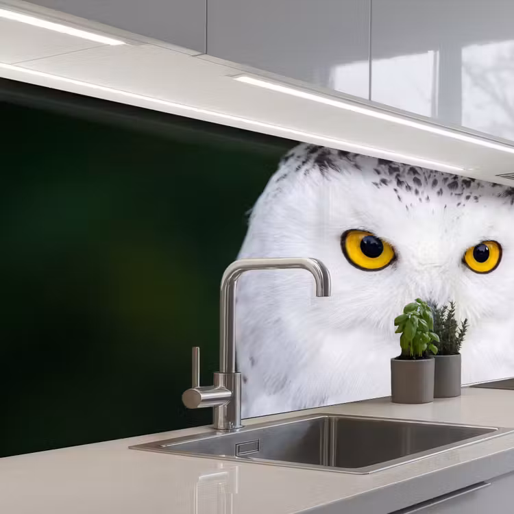 Keuken achterwand - Sneeuwuil - Portret - Geel — 2