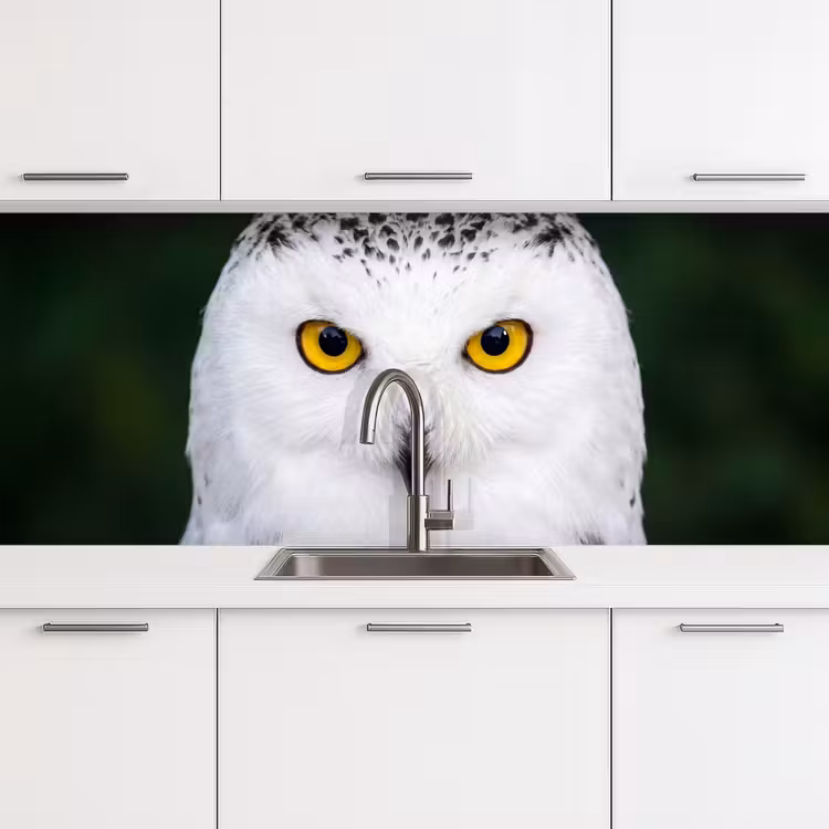 Keuken achterwand - Sneeuwuil - Portret - Geel — 4
