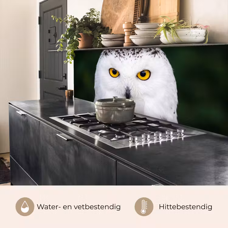 Keuken achterwand - Sneeuwuil - Portret - Geel — 5