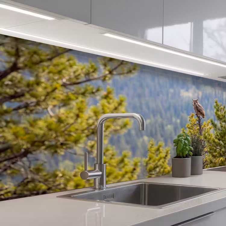 Keuken achterwand - Uil - Oehoe - Bomen - Natuur — 2
