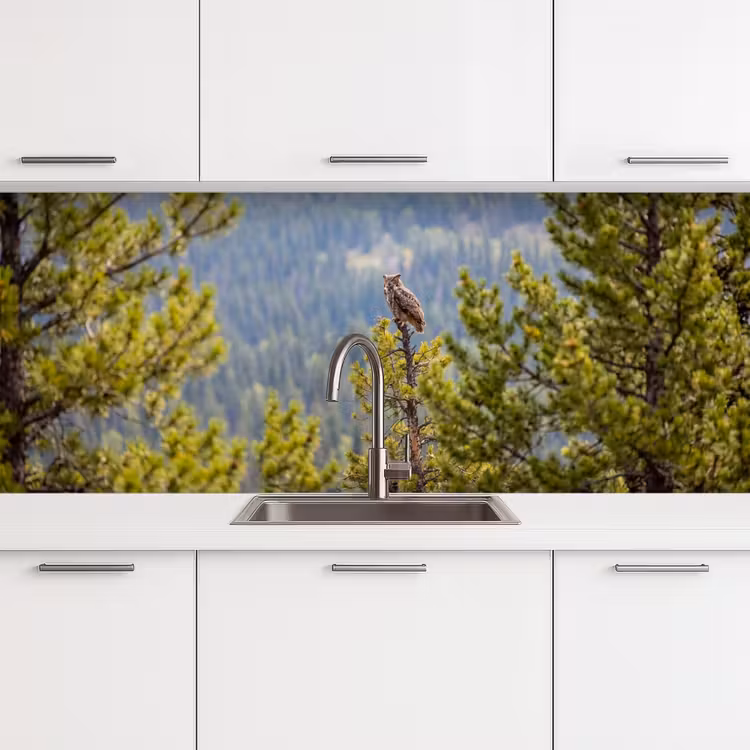 Keuken achterwand - Uil - Oehoe - Bomen - Natuur — 4