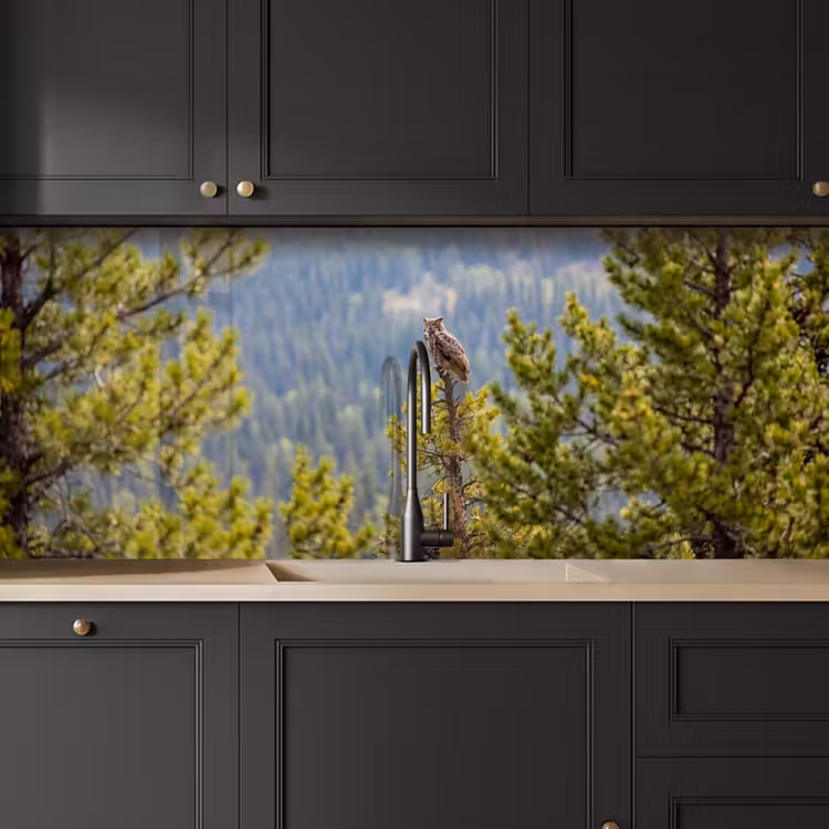 Keuken achterwand - Uil - Oehoe - Bomen - Natuur — 6
