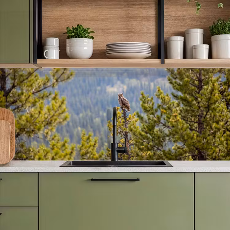Keuken achterwand - Uil - Oehoe - Bomen - Natuur — 8
