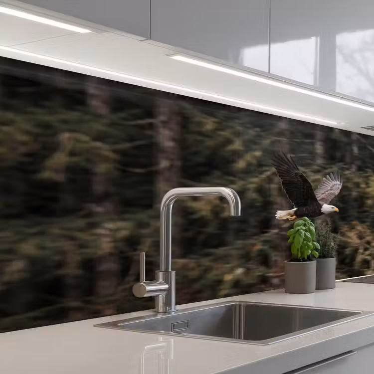 Keuken achterwand - Zeearend - Vliegen - Bos - Natuur — 2
