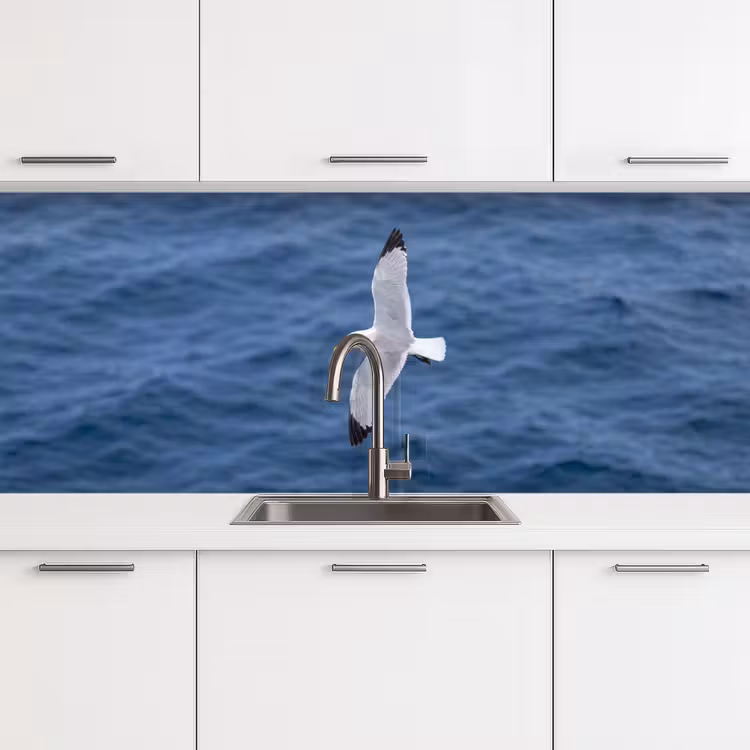 Keuken achterwand - Zeemeeuw - Oceaan - Blauw — 4