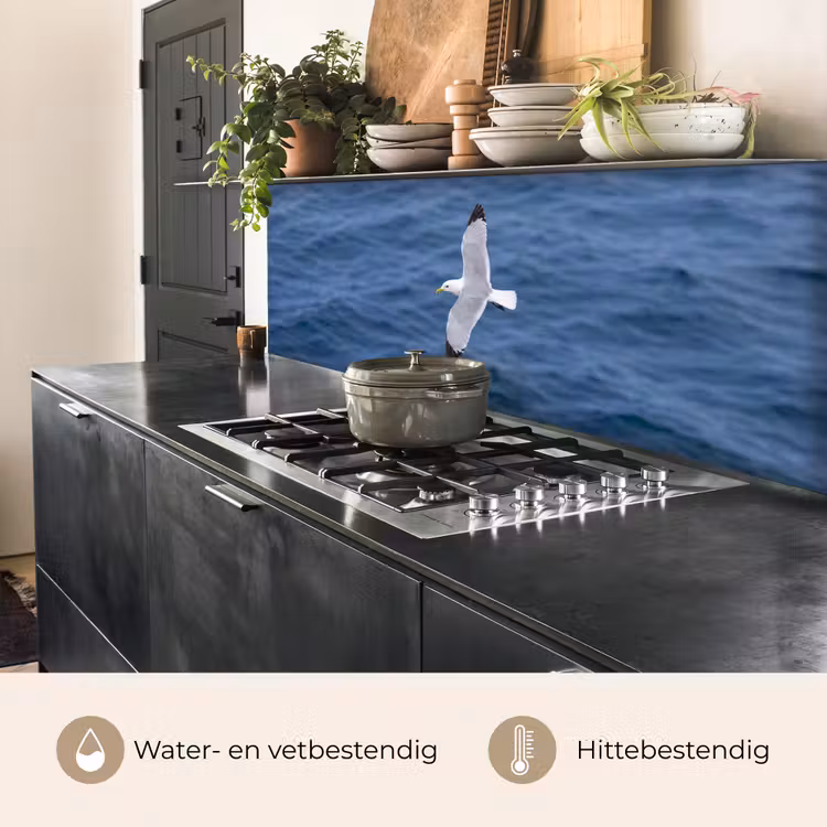 Keuken achterwand - Zeemeeuw - Oceaan - Blauw — 5