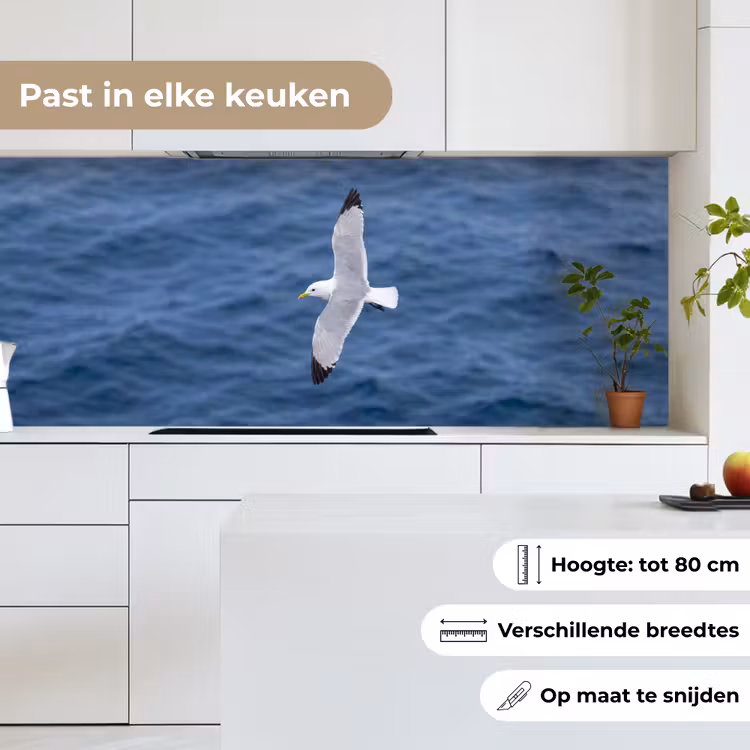 Keuken achterwand - Zeemeeuw - Oceaan - Blauw — 7