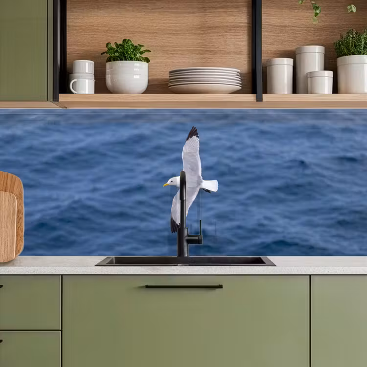 Keuken achterwand - Zeemeeuw - Oceaan - Blauw — 8