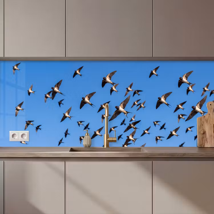 Keuken achterwand - Zwaluwen - Vliegen - Blauw — 1