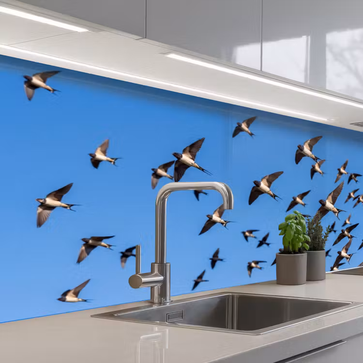 Keuken achterwand - Zwaluwen - Vliegen - Blauw — 2