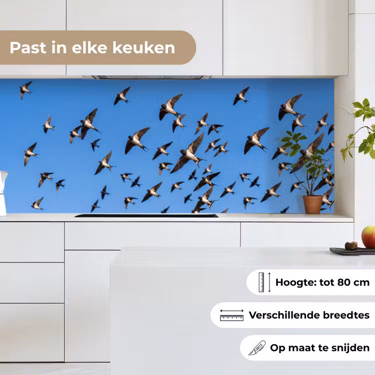 Keuken achterwand - Zwaluwen - Vliegen - Blauw — 7
