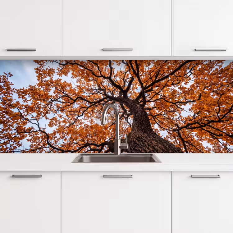 Keuken achterwand - Boom - Bladerdak - Herfst - Oranje - Sfeervol — 4