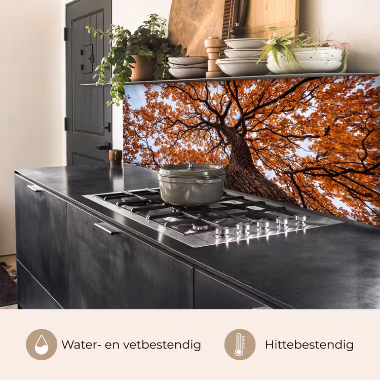 Keuken achterwand - Boom - Bladerdak - Herfst - Oranje - Sfeervol — 5