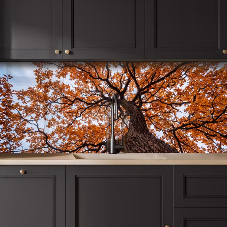 Keuken achterwand - Boom - Bladerdak - Herfst - Oranje - Sfeervol — 6
