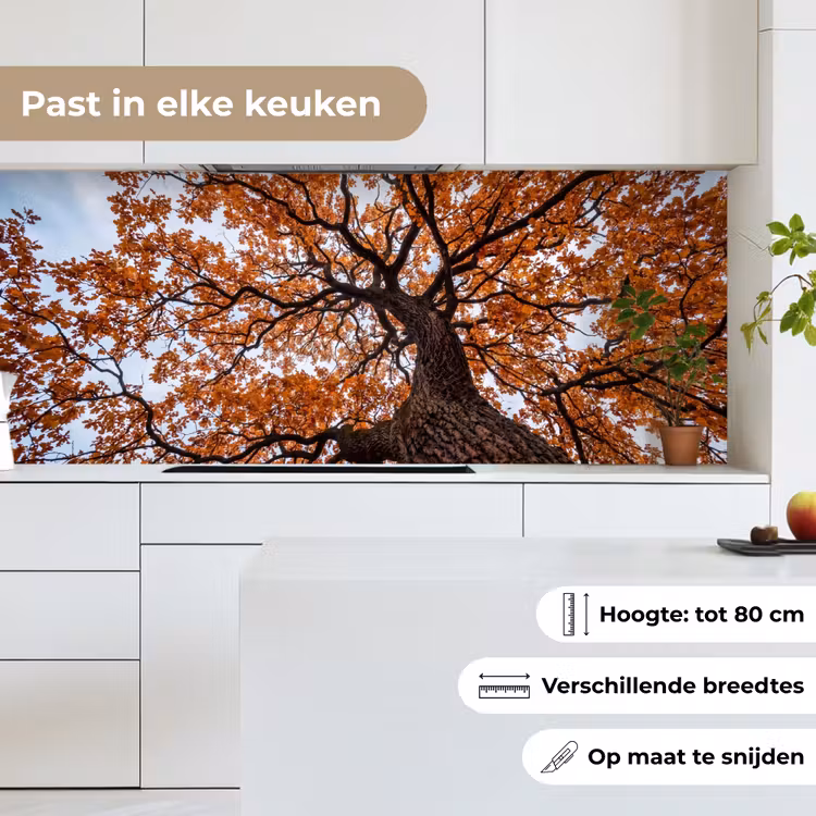 Keuken achterwand - Boom - Bladerdak - Herfst - Oranje - Sfeervol — 7