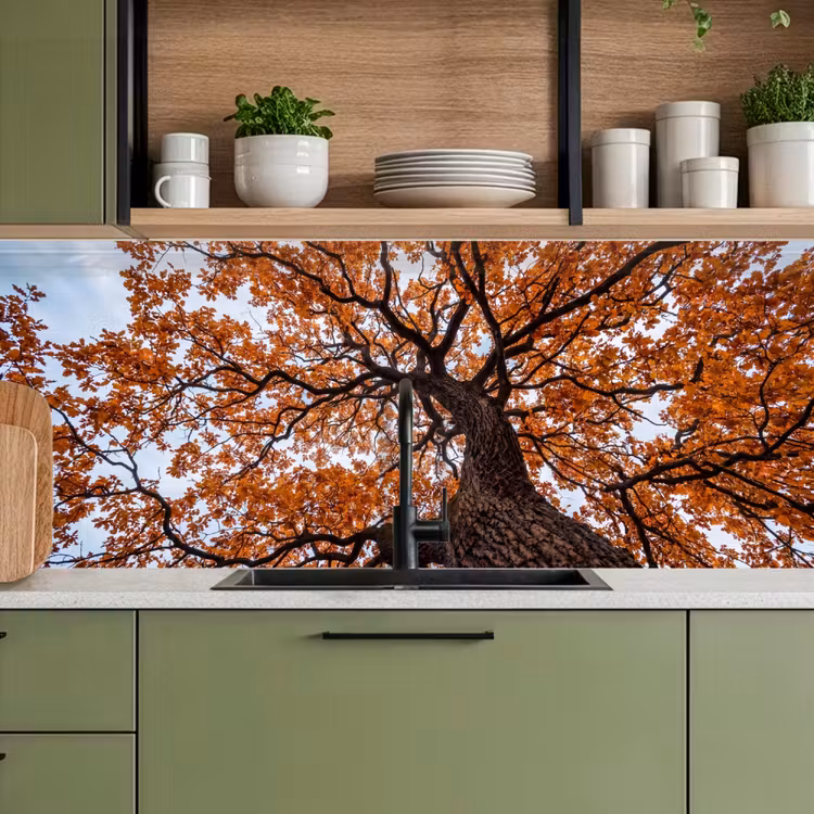 Keuken achterwand - Boom - Bladerdak - Herfst - Oranje - Sfeervol — 8