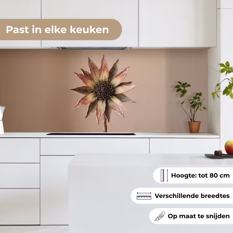 Keuken achterwand - Droogbloem - Protea - Vintage - Beige - Rustiek — 7